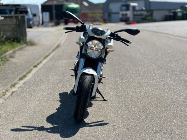 Ducati Monster 696 – Bild 3